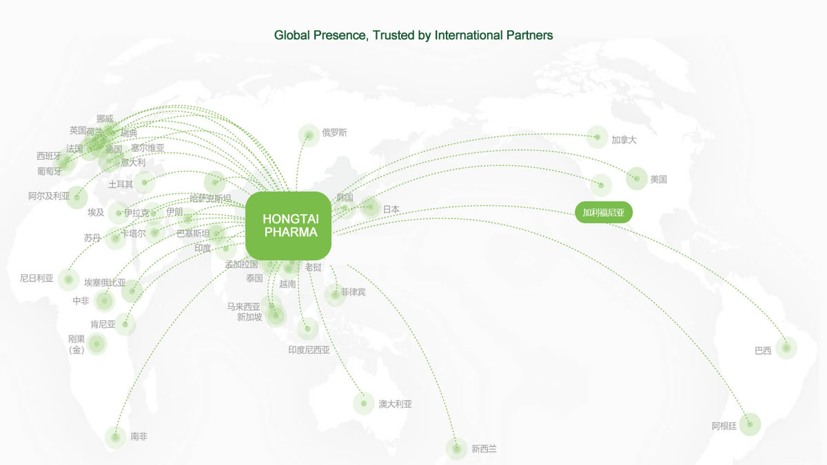 Global Supply Network and Client Distribution